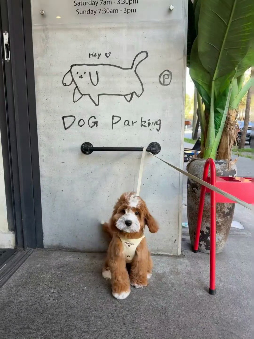 DogParking停狗位​​​