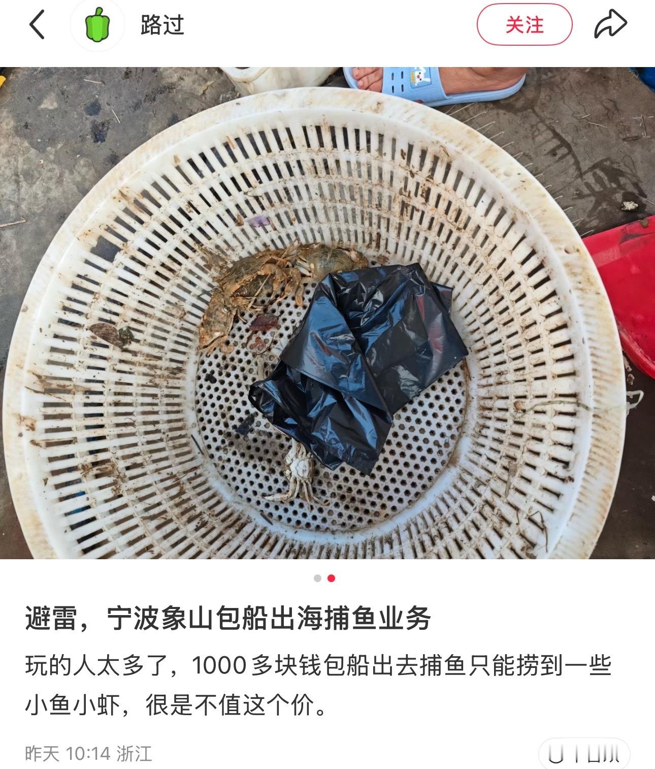 网友称花1千多在宁波象山出海捕捞只有小鱼小虾网友“路过”发帖避雷，宁波象山包船