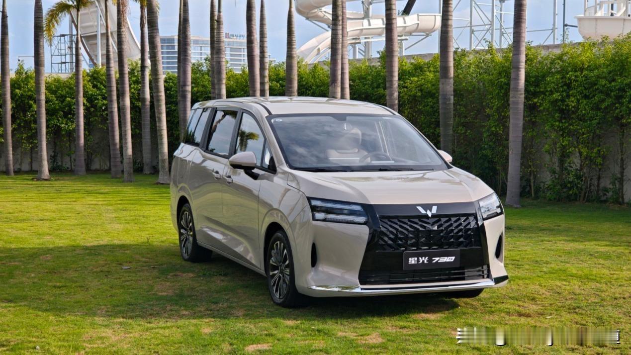 800万“神车基因”延续，星光730预订开启。要说洞察用户需求能力突出的品