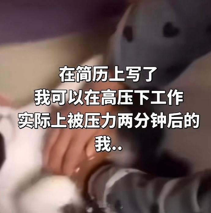 备注：具体情况以实际为准