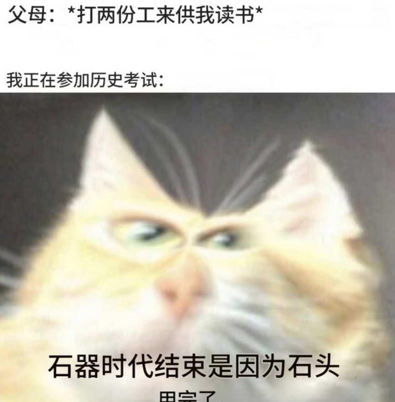 梗图