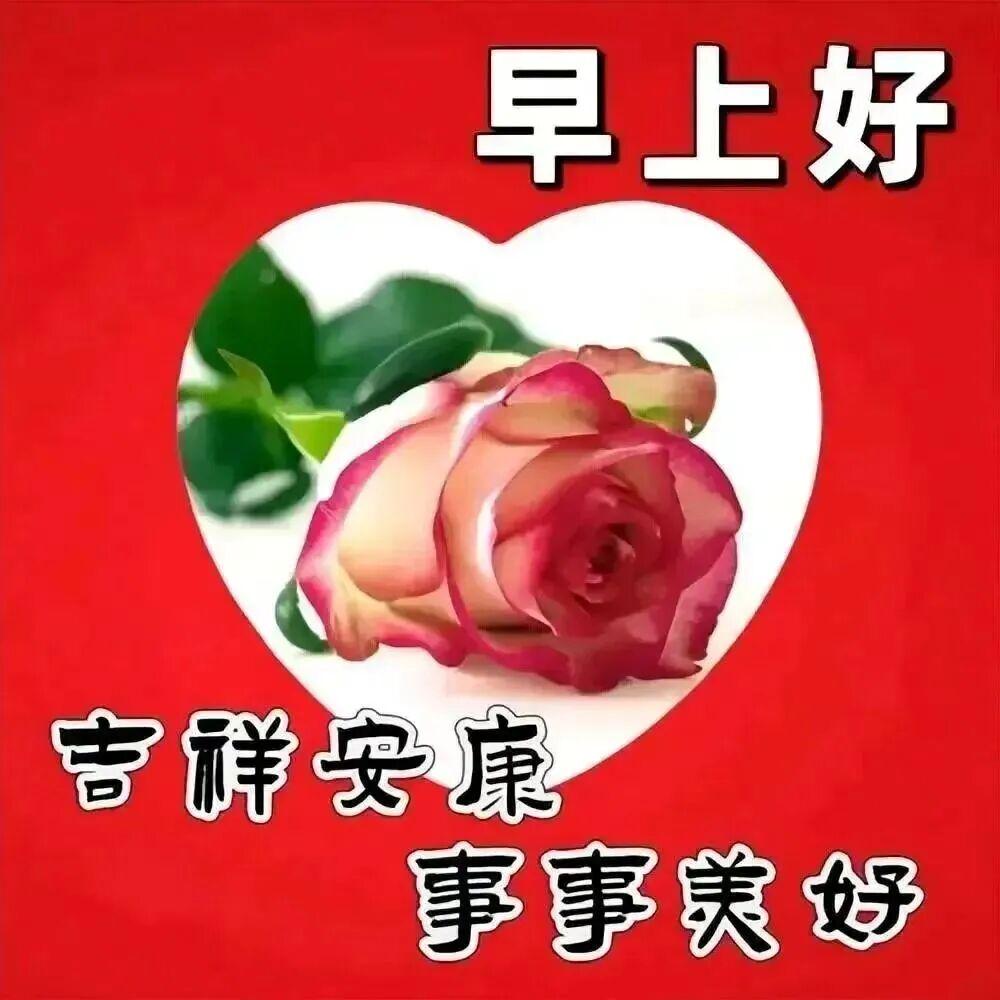 人生匆匆，时光易逝，好好感受当下的美好，才是最重要的事！岁月虽冷暖交加，时光却依