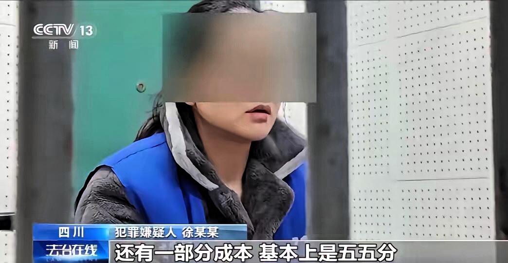 怒！空壳公司薅生育津贴羊毛，400万黑心钱必须追到底！15人小公司13人扎堆怀