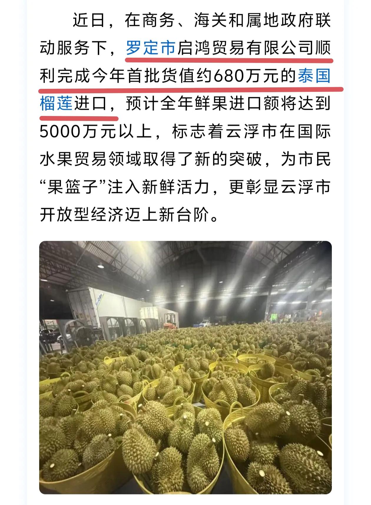 广东罗定人以后可以吃到便宜泰国榴莲了。罗定有公司直接在泰国进口了价值680万元的