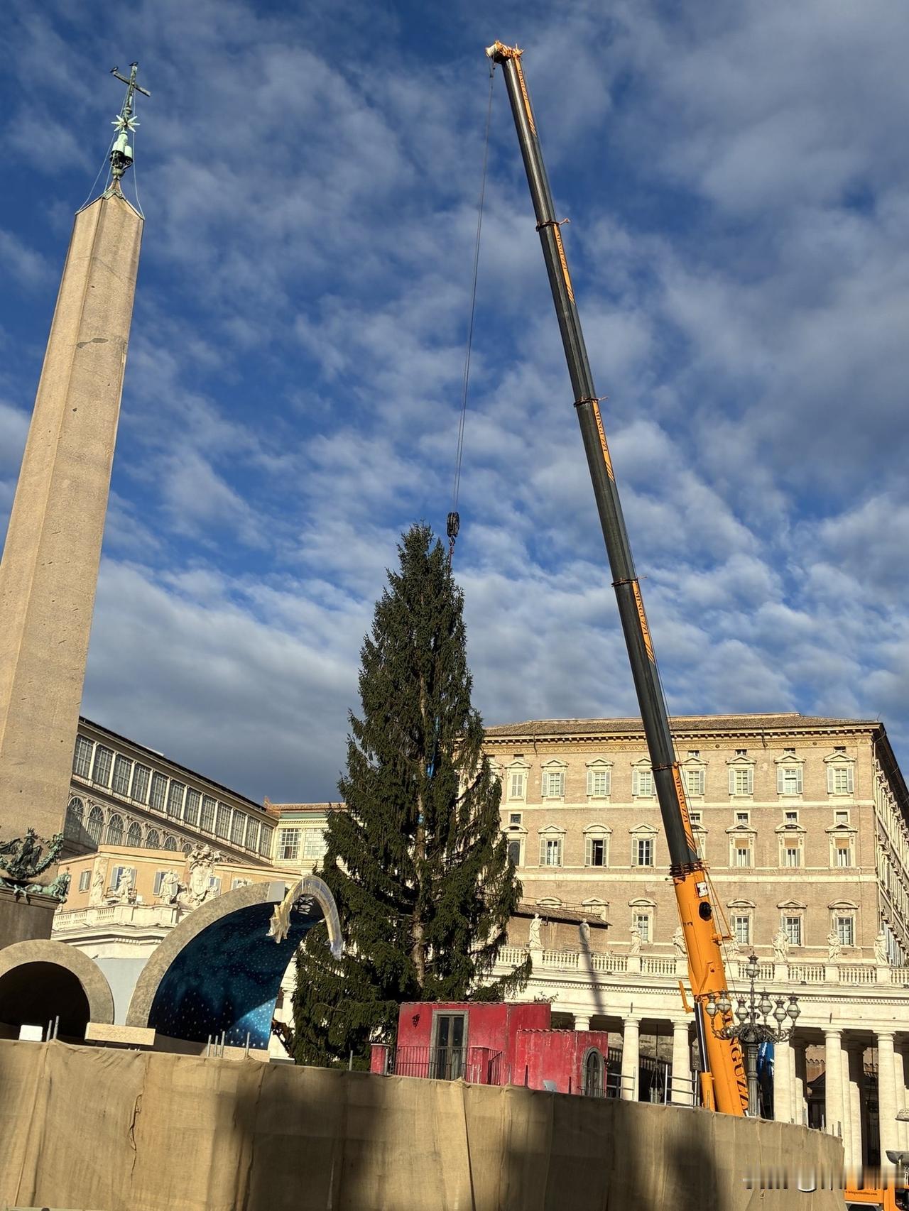 梵蒂冈的圣诞季已经拉开帷幕。一棵巨大的圣诞树已于11月27日星期四上午运抵圣彼得
