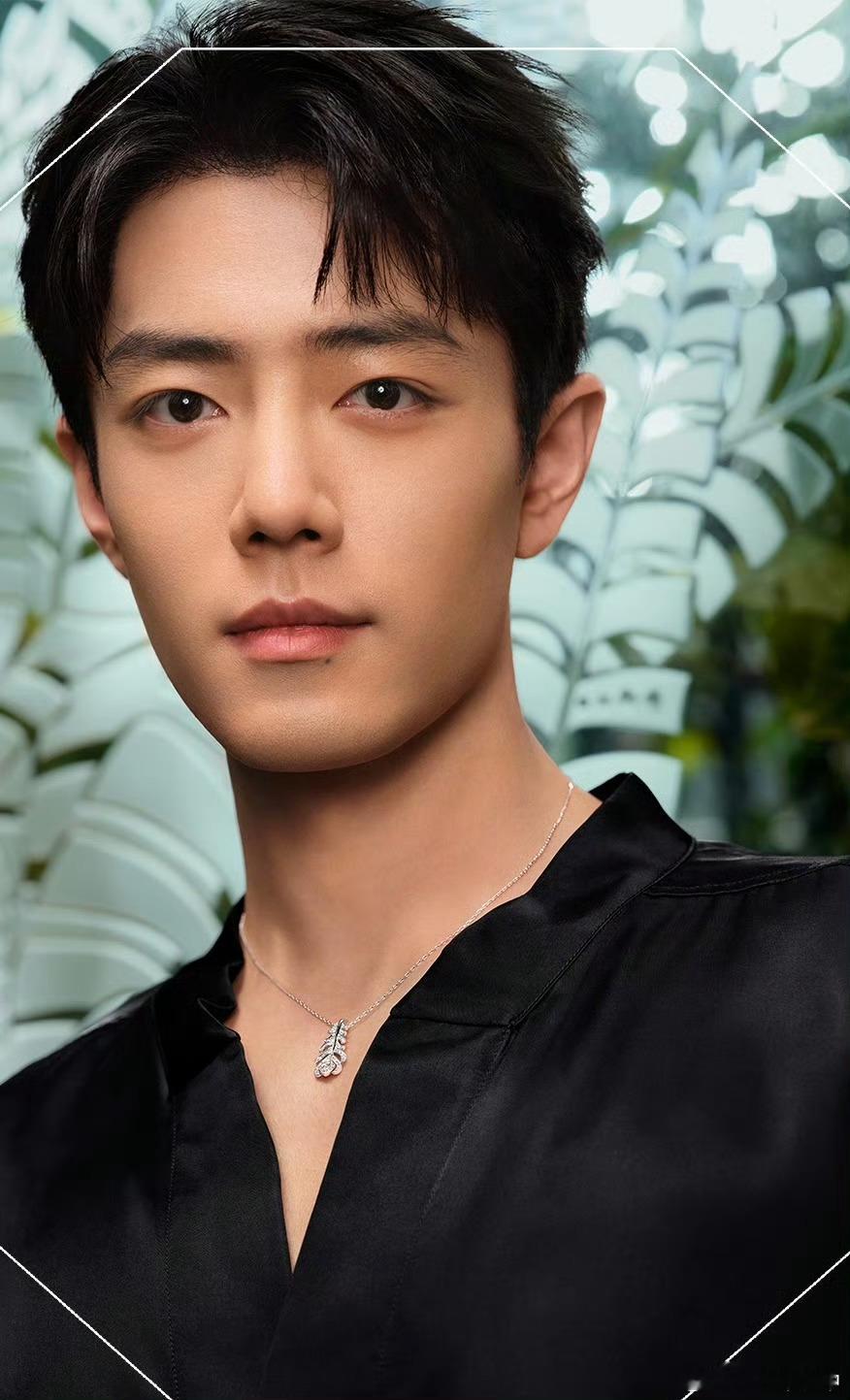 肖战宝诗龙物料五官太精致了👏🏻眼睛在放电💡帅就一个字😎