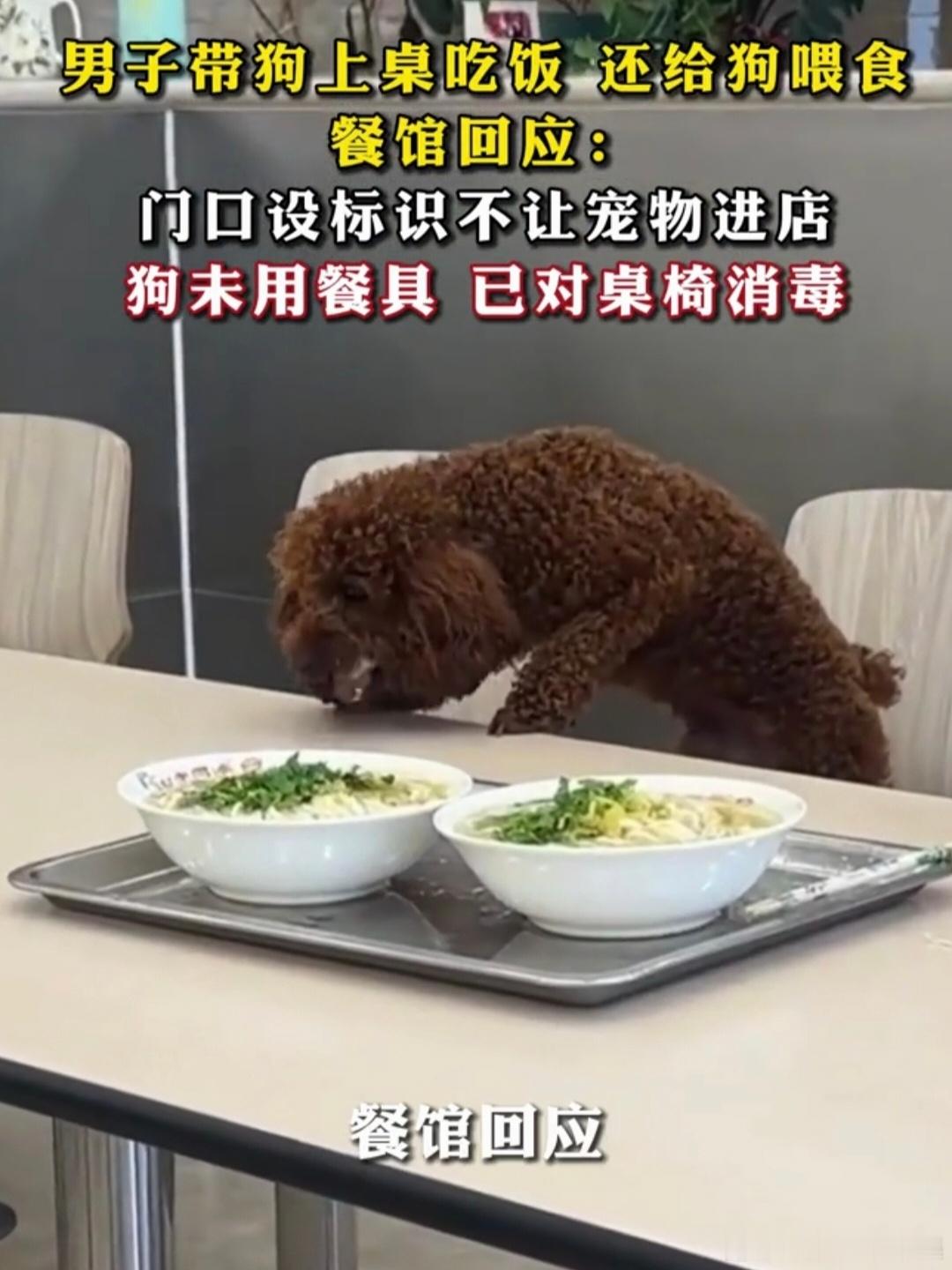 私宠勿侵餐食界，规章莫做一纸空；守好公序存分寸，严把食安不放松。沈阳老四季深夜致