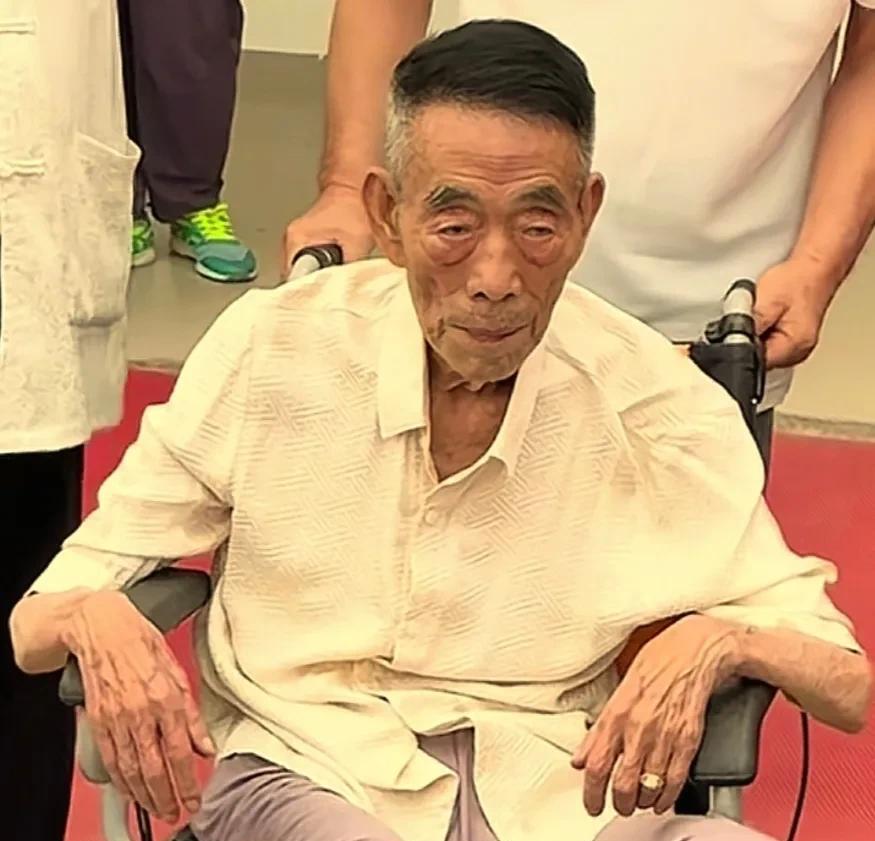 杨议被网友称为“杨氏榨油机”，那家饭店生意估计也得黄！杨少华老爷子刚在那家饭店