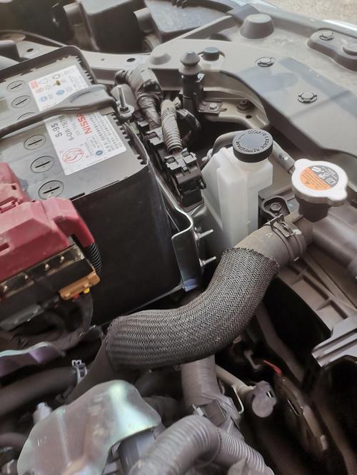 水箱单独清洗，纯属多余项目，按周期换冷却液就够了！跟着朋友去保养，她的轩逸开了