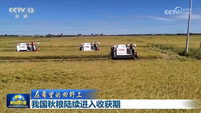 我国秋粮陆续进入收获期