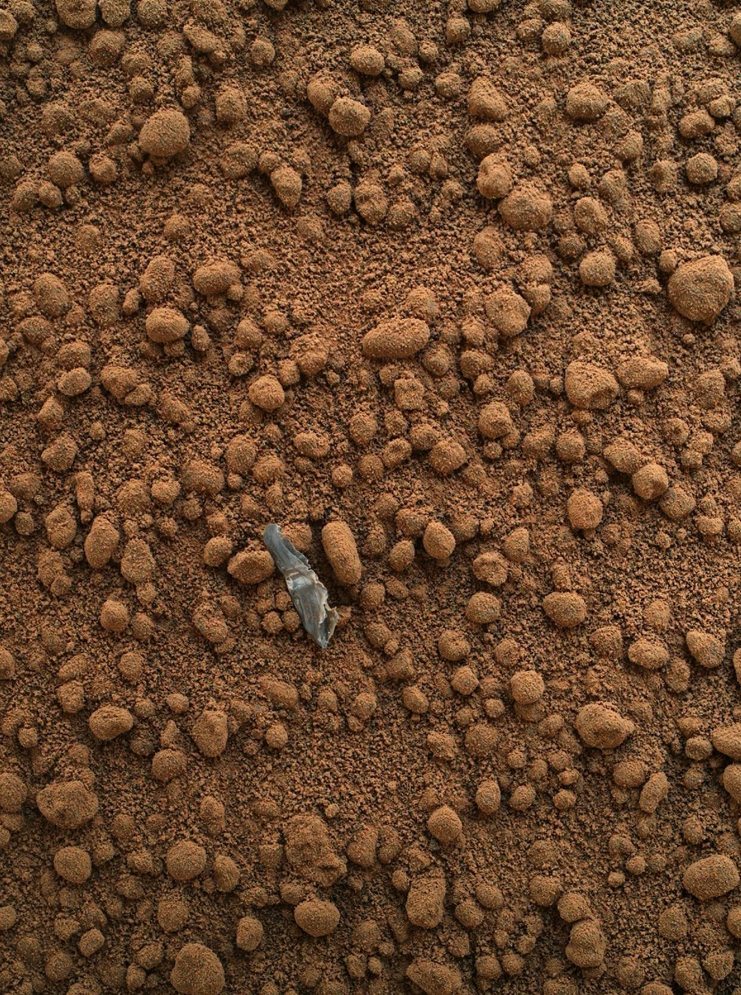 它们看起来像海滩上的小鹅卵石，但实际上这是火星的红色沙丘和它的球形沙粒。