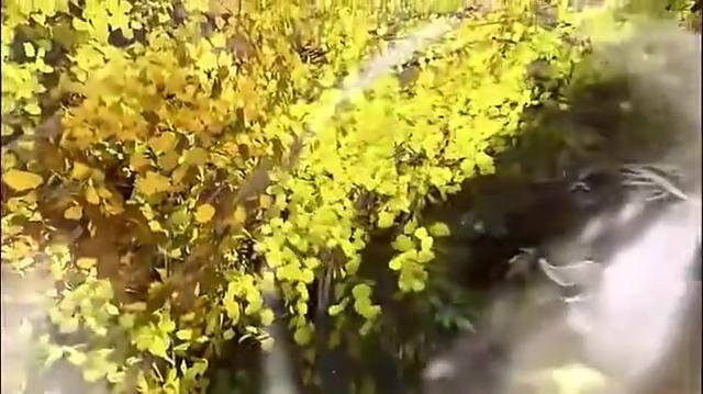 [大话西游]41 乌巢禅师的身份之谜_土豆视频