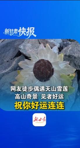 "上人民日报了！"新疆，男子爬天山，在爬到海拔大约3000米的位置停下休息，没想