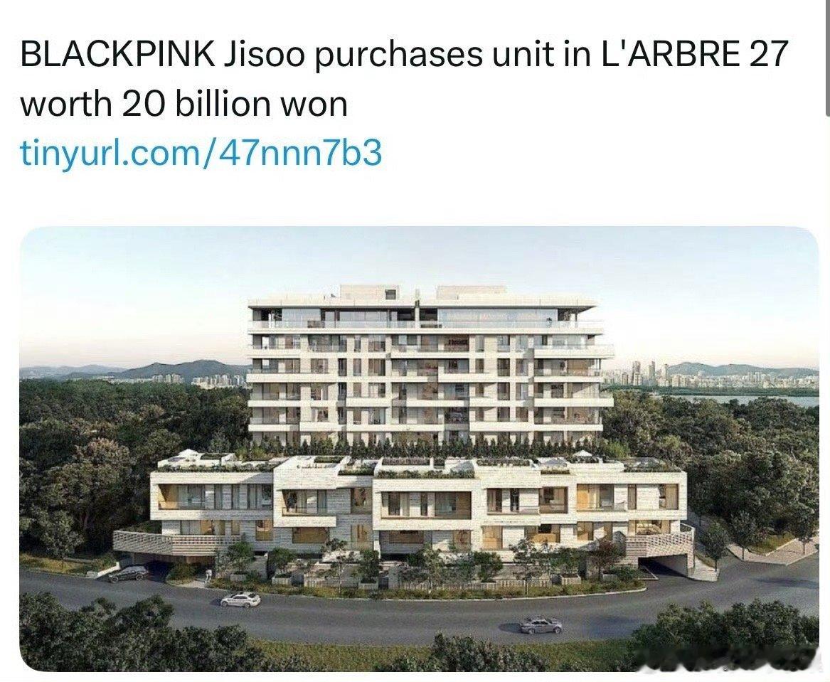 我去谁说kpop不赚钱金智秀买入价值200亿韩元的豪宅价值rmb一个亿左右