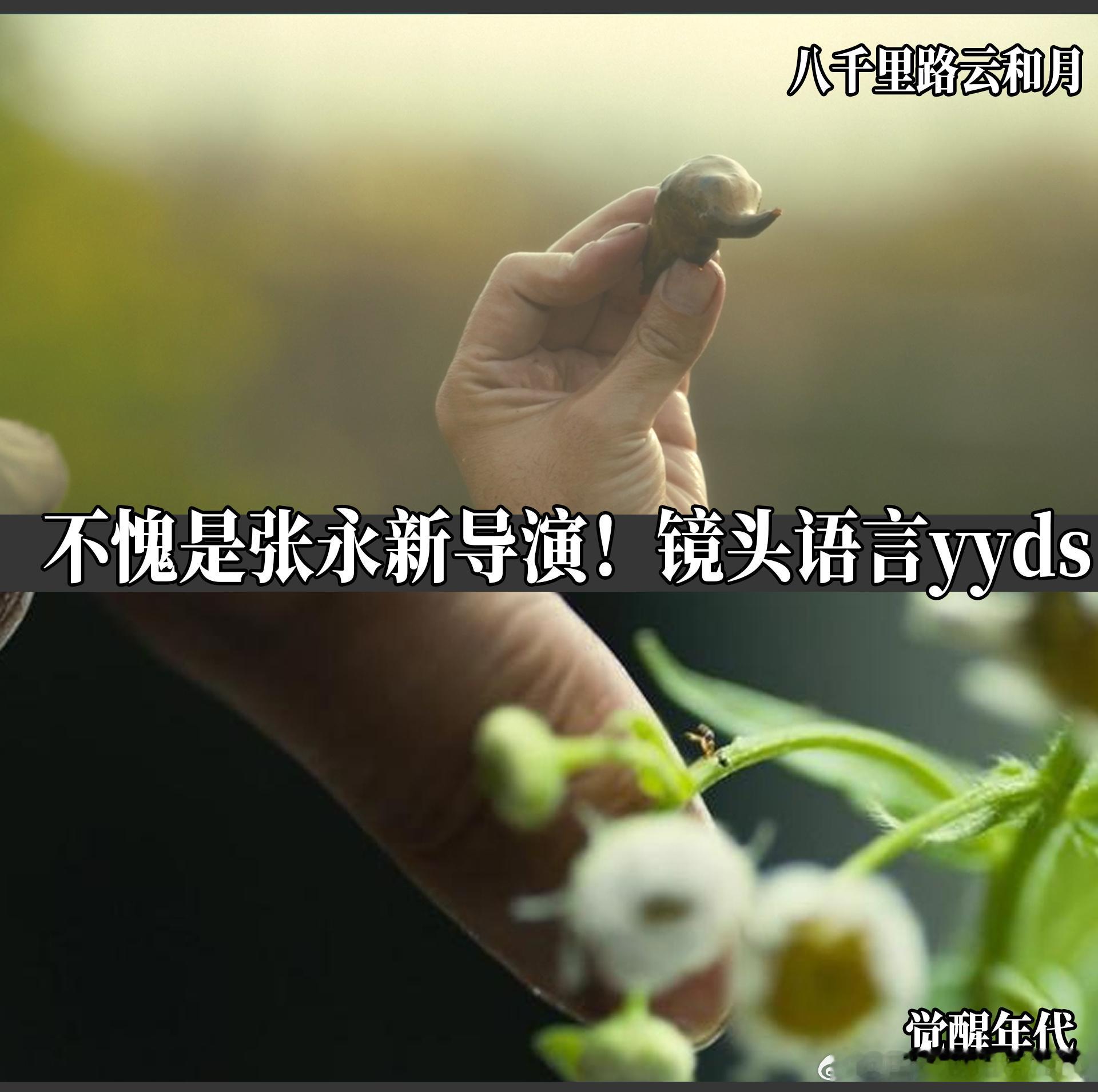 追觉醒年代的感觉又回来了电视剧八千里路云和月演技全员在线！没有拖垮角色，隐忍表演