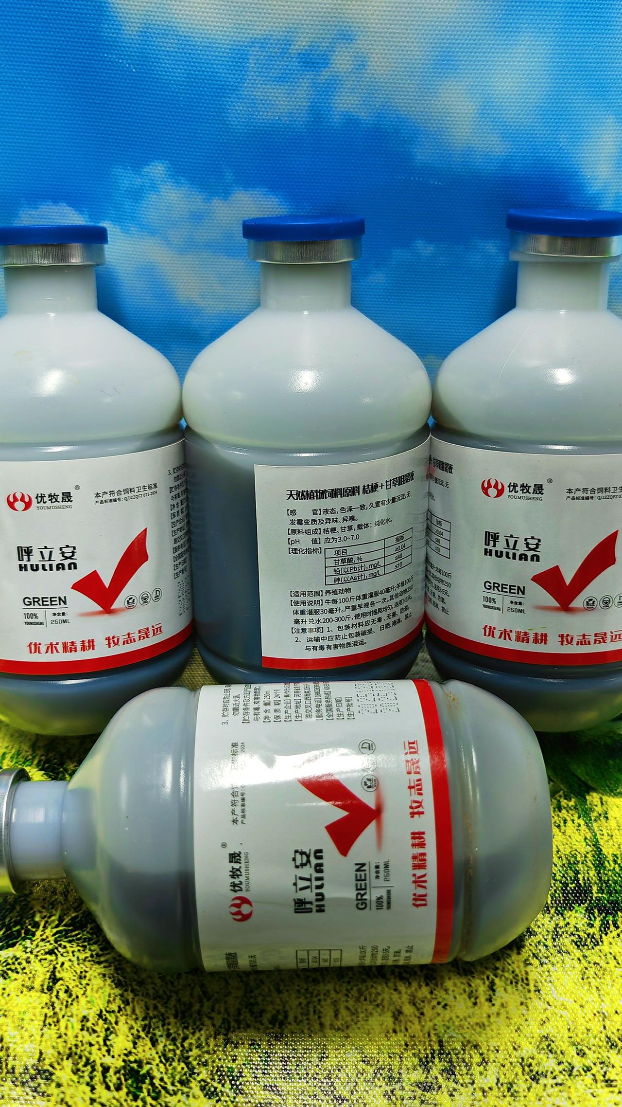 养羊人农村养羊牛羊养殖