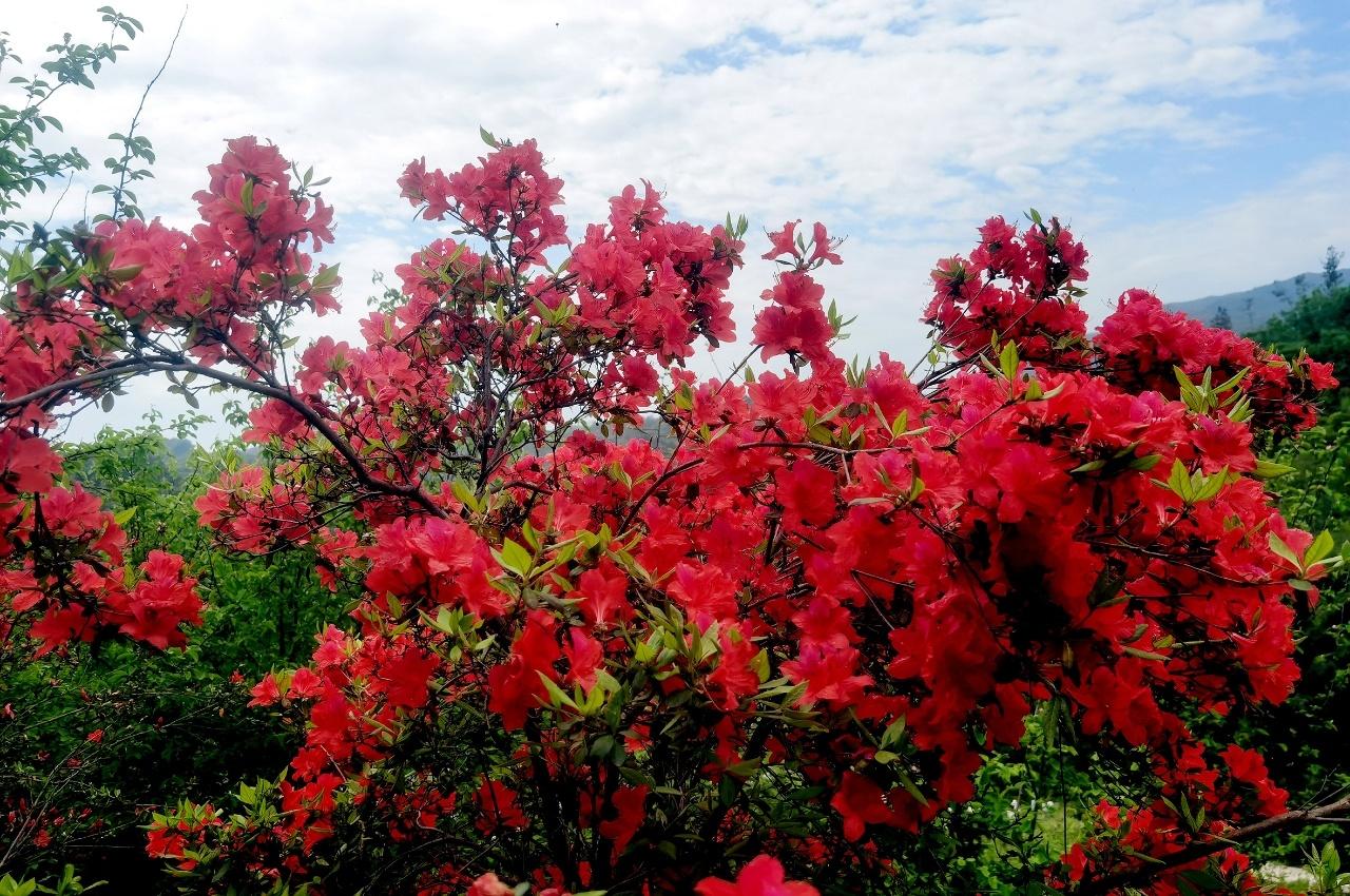 站桩的自信站桩锻炼的确很苦很累，特别是在站桩初期，全身的汗水，关节的不