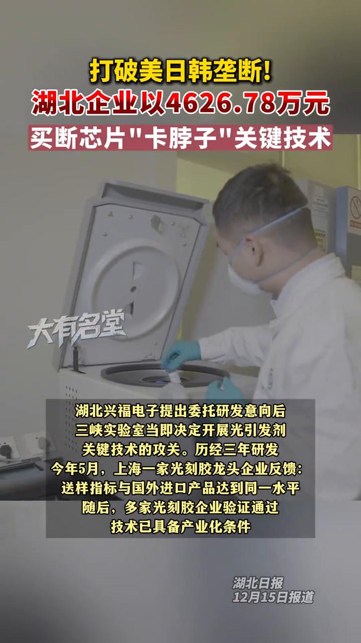 打破美日韩垄断！湖北企业以4626.78万元买断芯片
