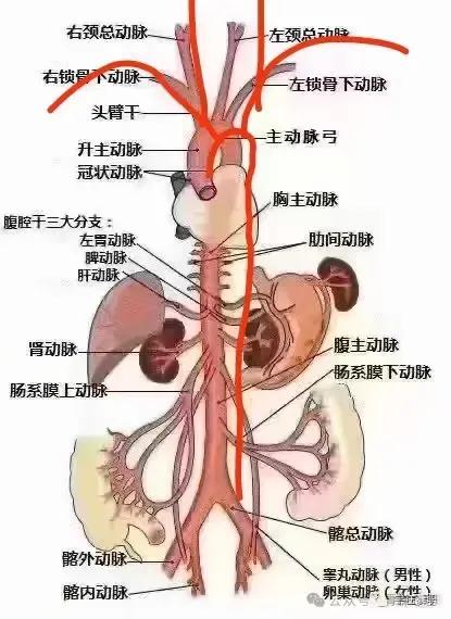 这时候家里人都吃完晚饭，准备睡觉了。爸爸一回来，就想看看孩子，觉得自己忙了一天，