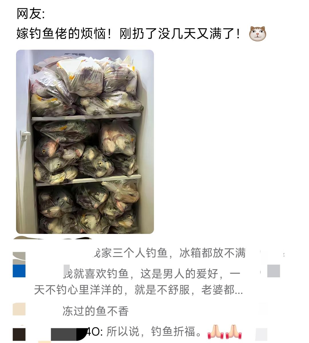我问我老公为什么不去钓鱼，他告诉我，钓鱼是有钱人爱好。然后给我普及了一下他身