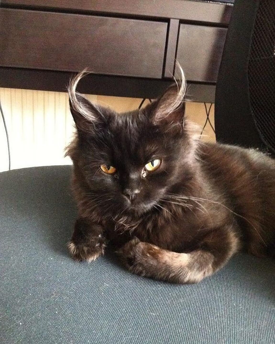 叛逆到家了​​​