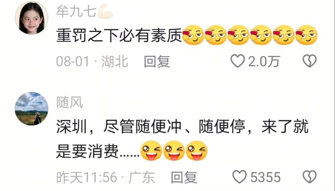 当你发现路上的车素质极高就知道进入深圳了🤣👌