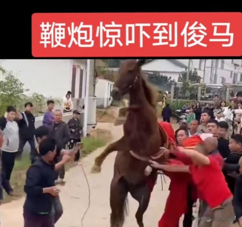 好多地方说要禁放烟花爆竹，小区广播也轮番播放:违者将罚款100至500以下，连澎