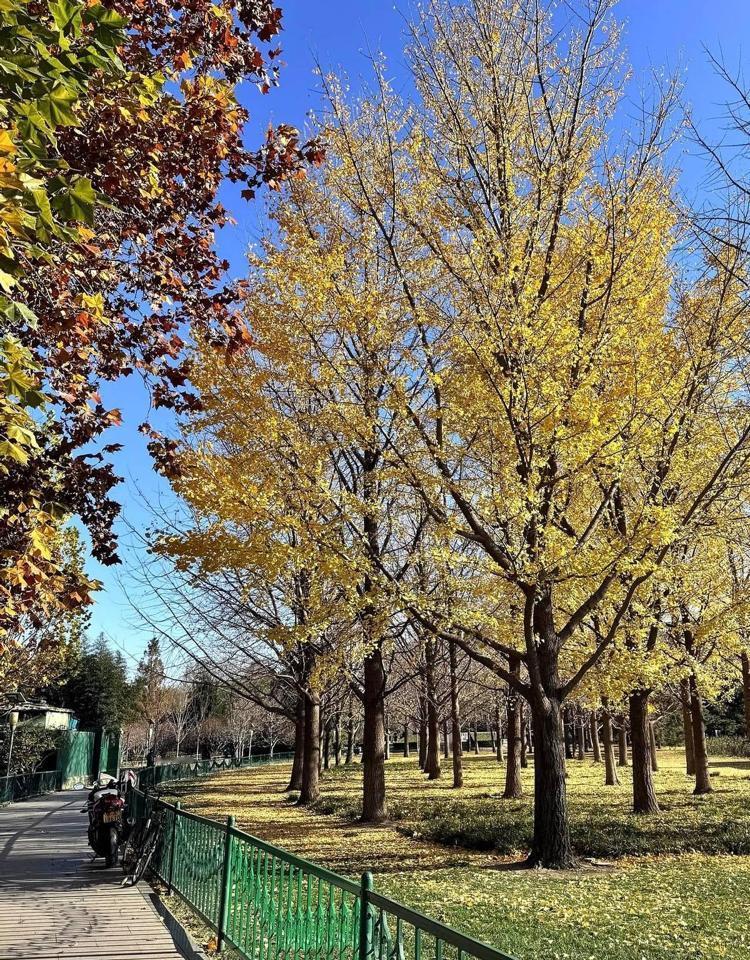 旅游不是逃命，是养命。乳腺癌康复期患者，别拿身体开玩笑。高强度旅行，等于给癌