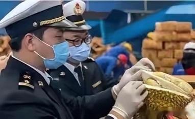 赚中国人钱还毒害中国人？谁能料到，泰国榴莲这事越挖越吓人，这泰国榴莲里竟藏着要命