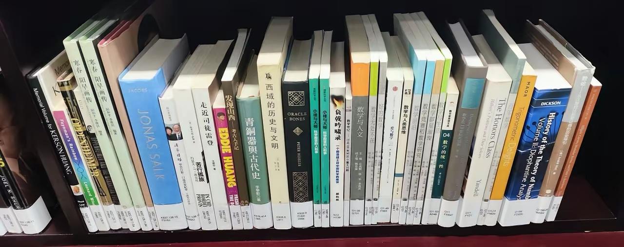 杨振宁书室也有三国演义，雍正皇朝，西域史等，他对于历史也是很感兴趣的。还有一本莫