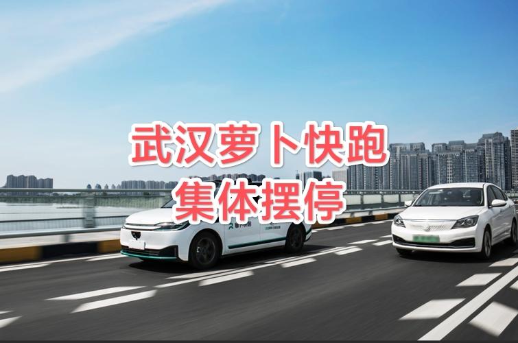 武汉萝卜快跑集体摆停，官方初步判定为系统故障。车辆高度依赖云端和网络，一旦网络波