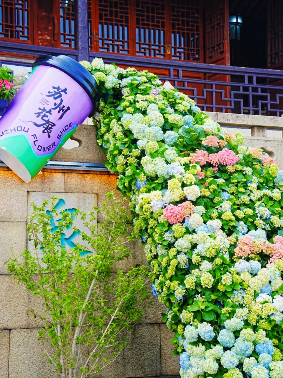 苏州的春天，是打翻了的调色盘🎨 	 本以为只是寻常赏花，结果直接闯进...