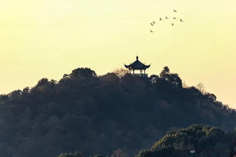 天蝎座的宝子们注意啦！近期家庭会遇重要转折，而且贵人就要亲临，可千万别错过这绝佳
