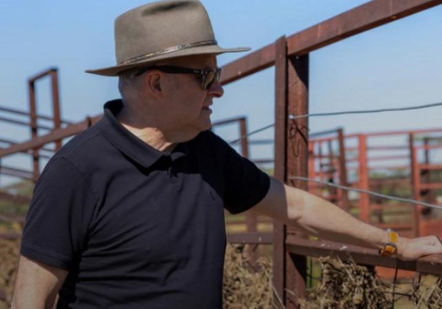 中国加拿大达成合作，澳大利亚哭晕在厕所！要说最近国际农产品贸易圈里最让人唏嘘