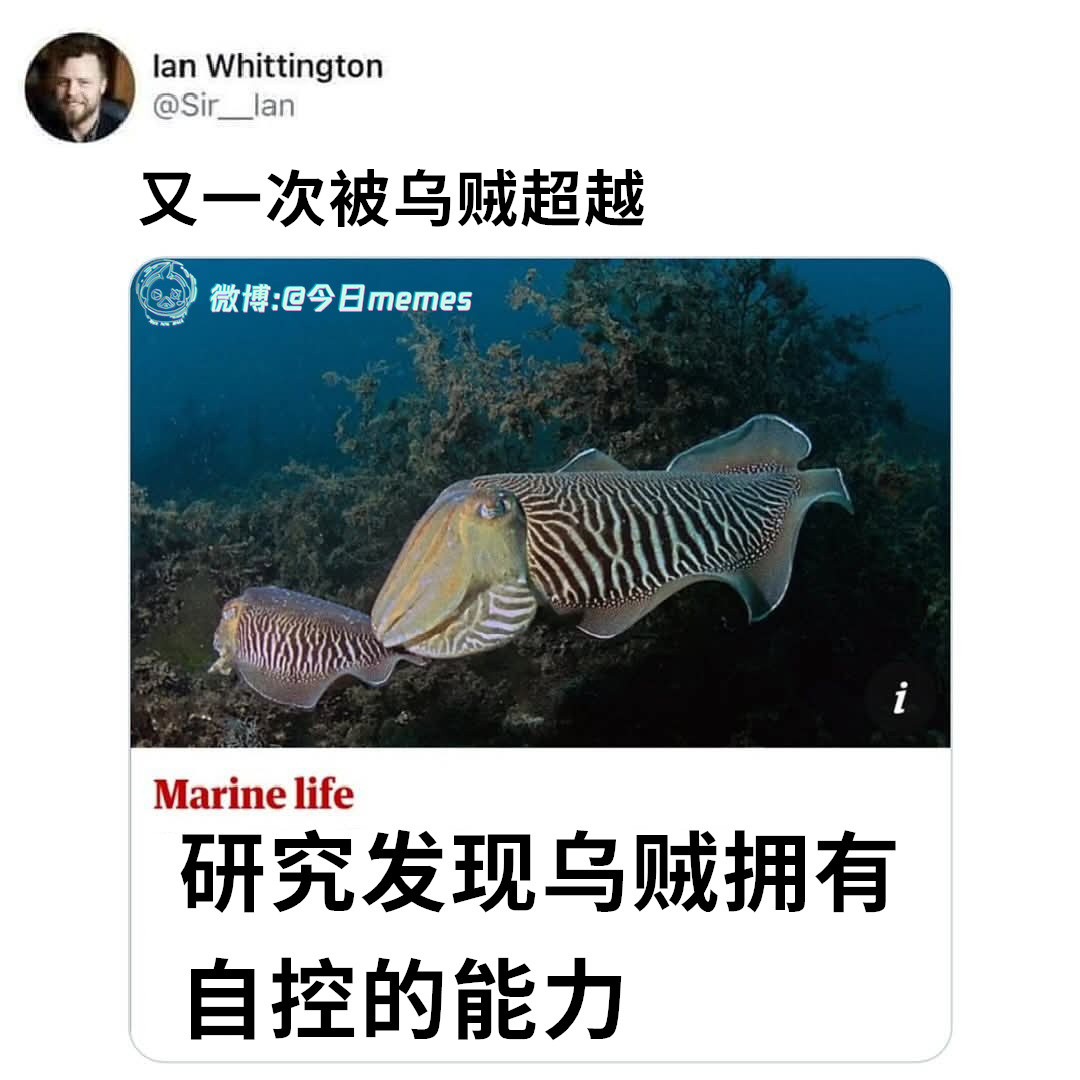 想变就变（9gag）哎呀​​​