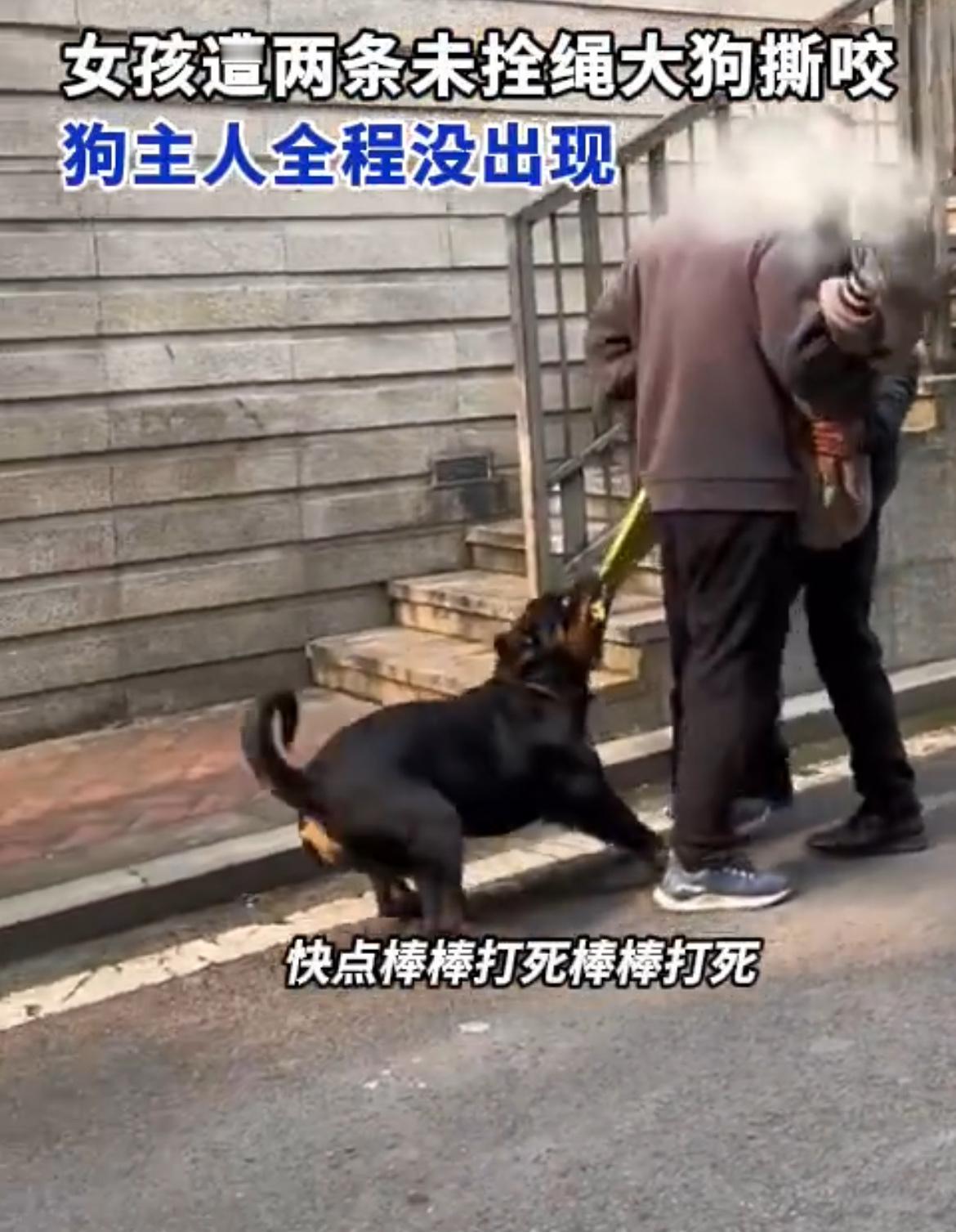 “严查到底！”近日，重庆，一小女孩在楼下玩耍时，突然被两条未拴绳的大型犬撕咬！家