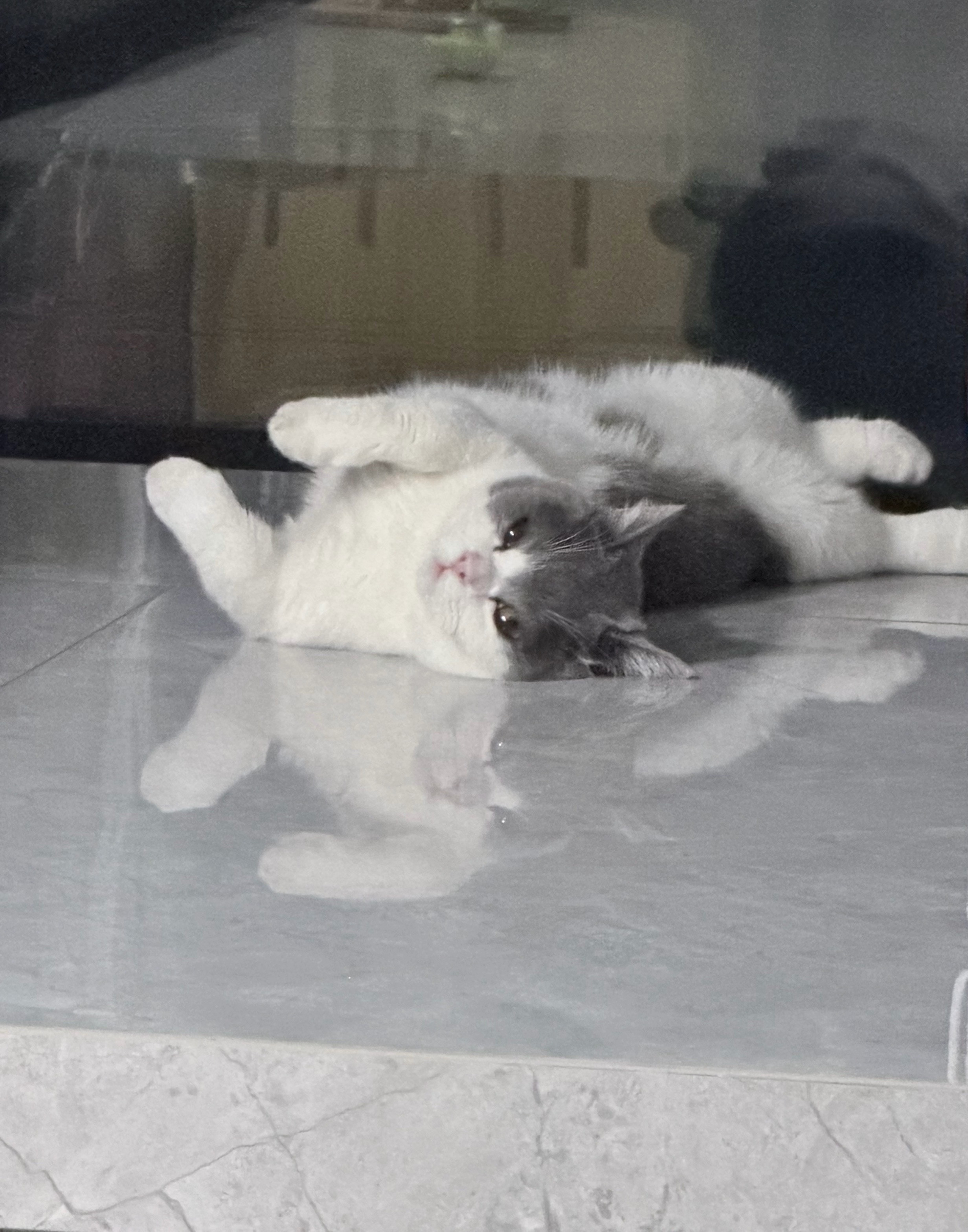 笑死了，你咋了