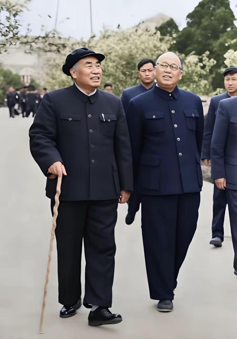 七十年代春日，朱德元帅与董必武同志结伴漫步出行、边走交谈，留下晚年同行的一张珍贵