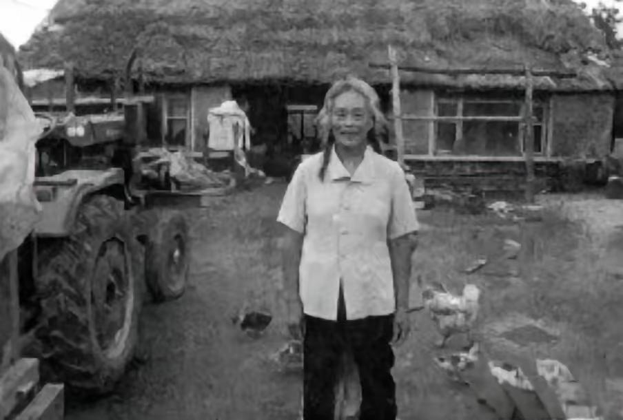 1969年，年仅19岁的女知识青年黄丽萍，隐瞒了自己显赫的家世，自愿前往北大荒进