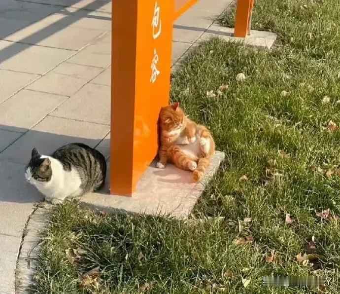 这是吵架了吗😄