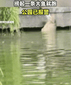穷疯了！山西太原，龙潭湖公园内，两名男子趴在地上，身体探出湖边的护栏，手伸进湖水