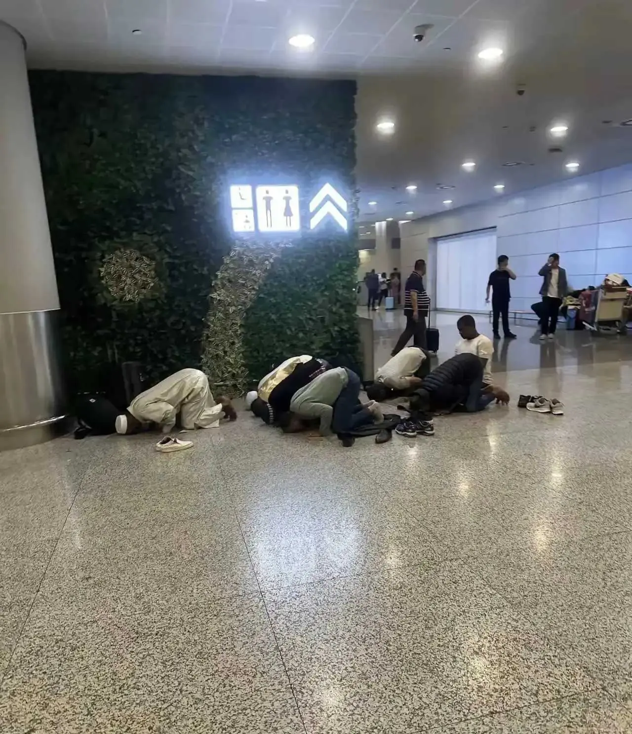 哪里传来的臭规矩？滚出去