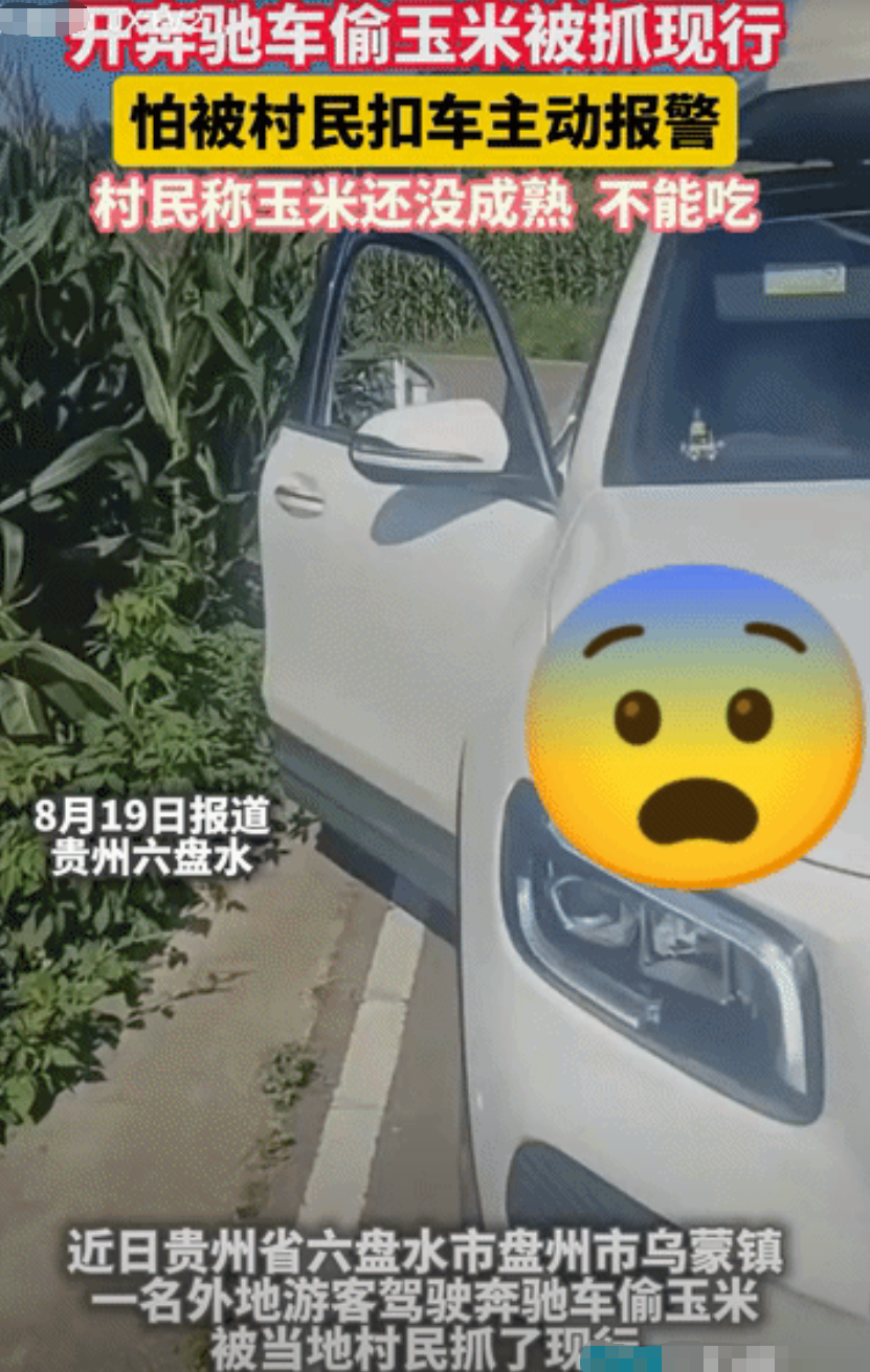 “脸都不要了！”贵阳六盘水，游客开奔驰偷玉米，被村民当场抓住，游客说煮熟玉米才3