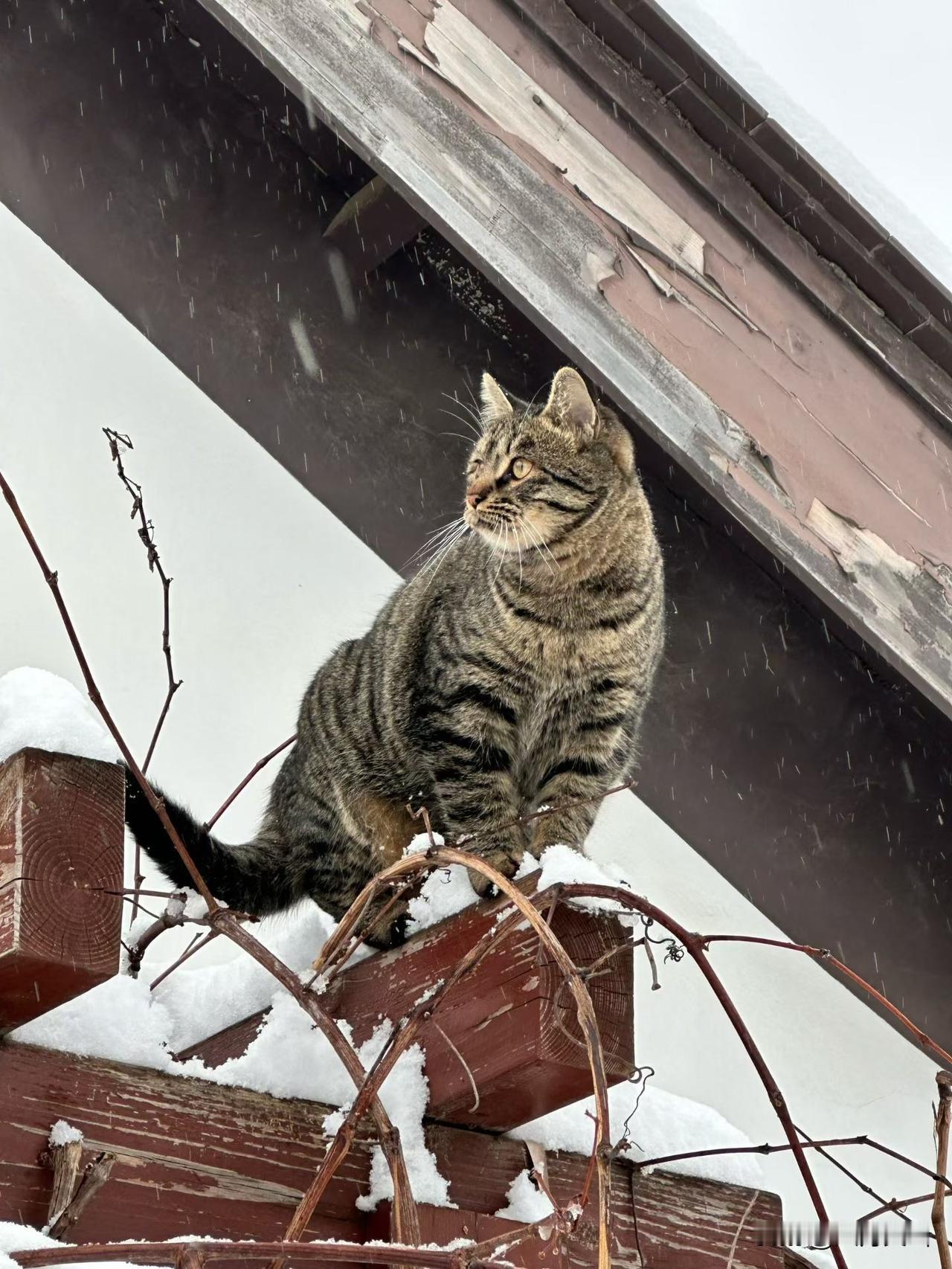做老板最头疼的事儿，除了搞钱，就是选人了吧？你是不是也遇见过这种情况：面试时