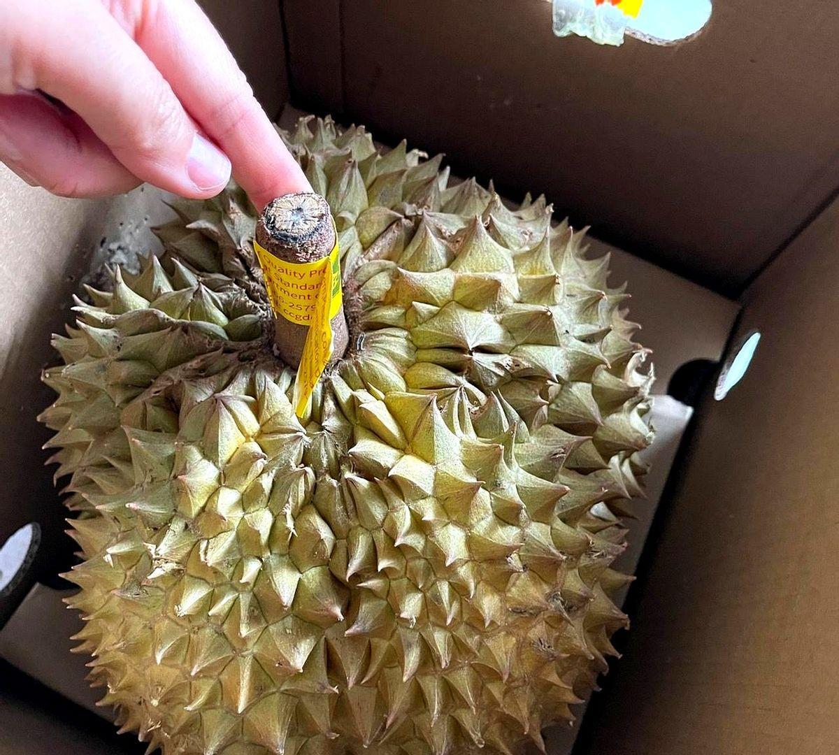 榴莲到手，可惜没熟！这一上午啥也没干，就看我那榴莲的物流了，一接到快递小伙电话