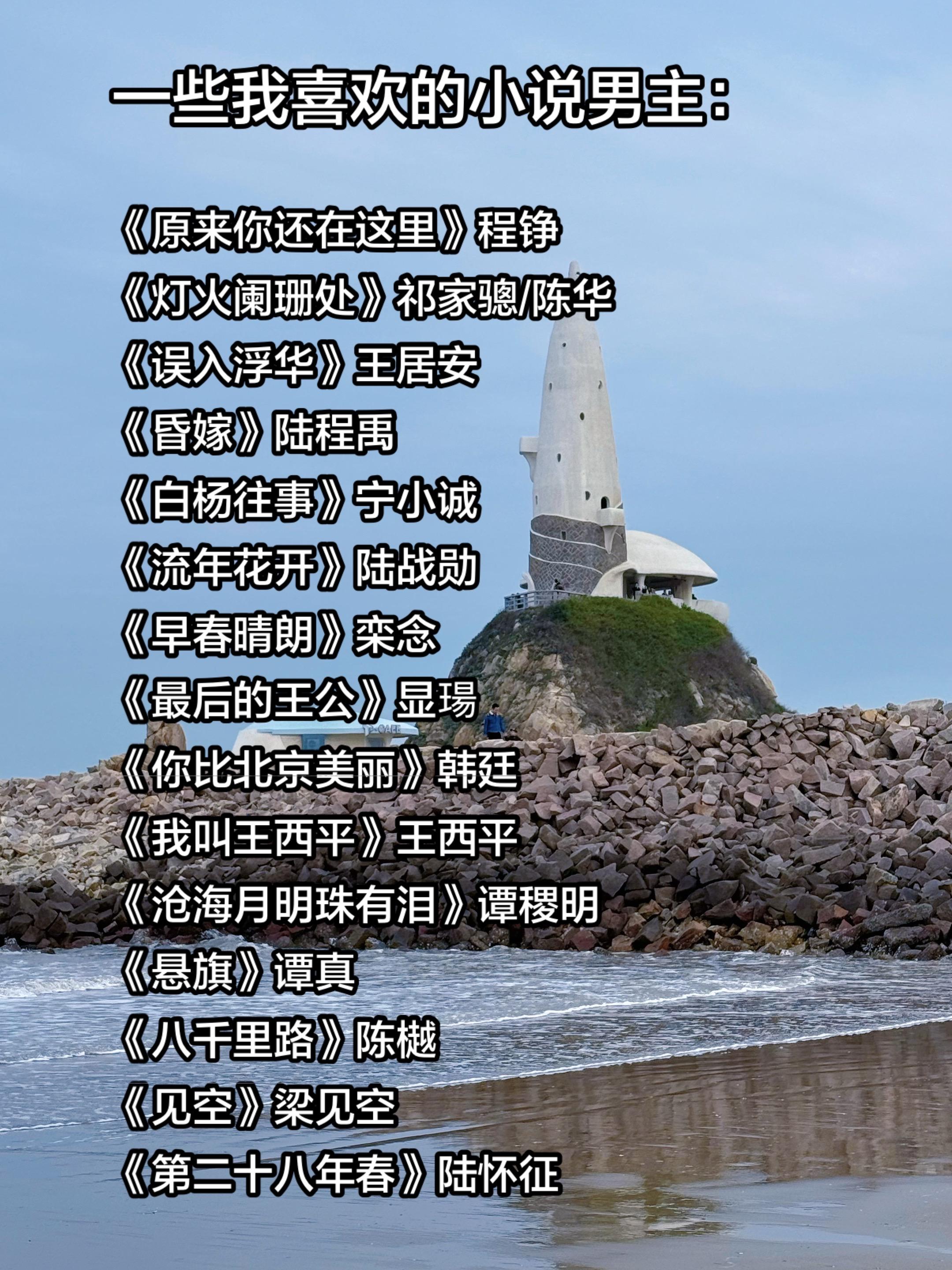 一些我喜欢的小说男主