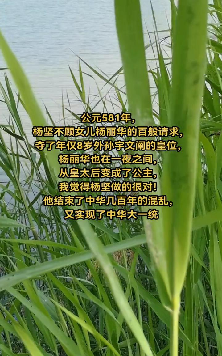 公元581年，杨坚不顾女儿杨丽华的百般请求，夺了年仅8岁外孙宇文阐的皇位。杨丽华