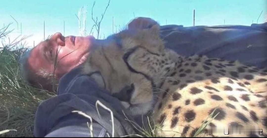 要是你在野外徒步，感觉累了在地上休息一会儿，一觉醒来发现身边躺着一个它会是什么感