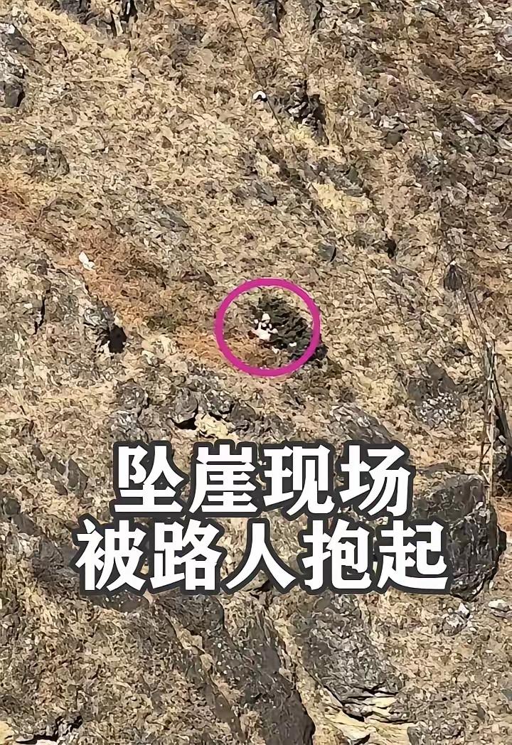 这起虎跳峡的悲剧令人心痛，也发人深省。作为读者和游客，我有以下几点感想想和大家分
