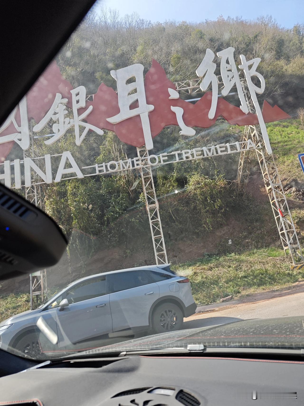 通江陈河，真正的银耳之乡当地基本上家家户户都有种植羊肚菌，银耳，木耳还有当地